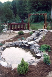 Pond Mushrush    